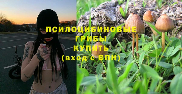 спиды Волосово