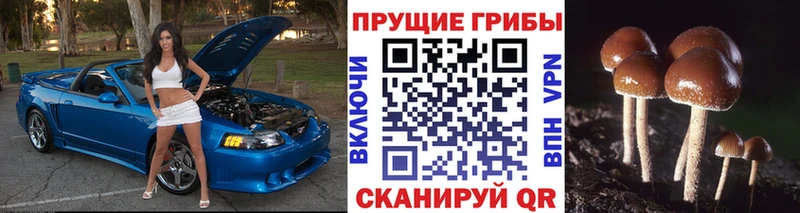 Галлюциногенные грибы Psilocybine cubensis  Черепаново 